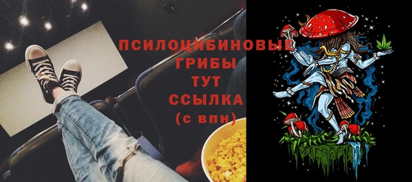 молекула духа Аркадак